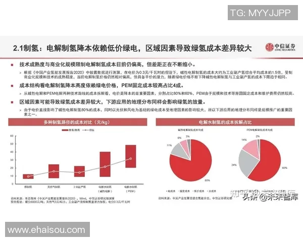 深度分析LNG市场的控制策略与应对措施探讨